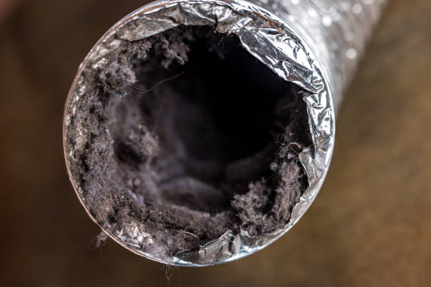 Best Air Duct Cleaning Near Me  in Reedurban, OH
