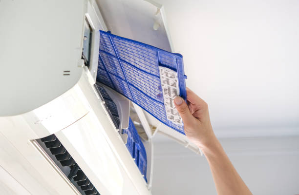 Best Air Duct Cleaning Company Near Me  in Reedurban, OH