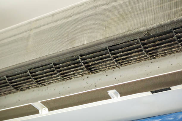 Best Air Duct Mold Removal  in Reedurban, OH